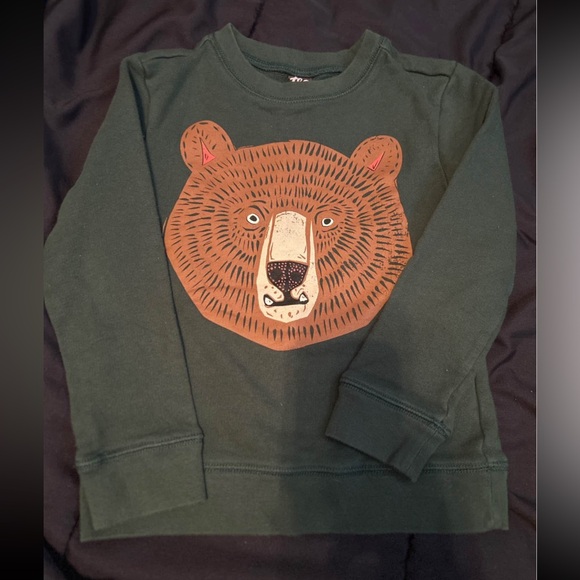 Tea Collection Other - Green Bear Graphic Kids Shirt